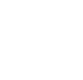 TV Globo