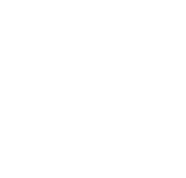 ICV