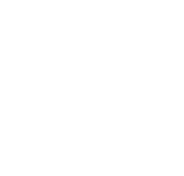 Multiterminais