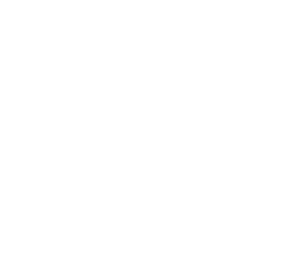 RBT